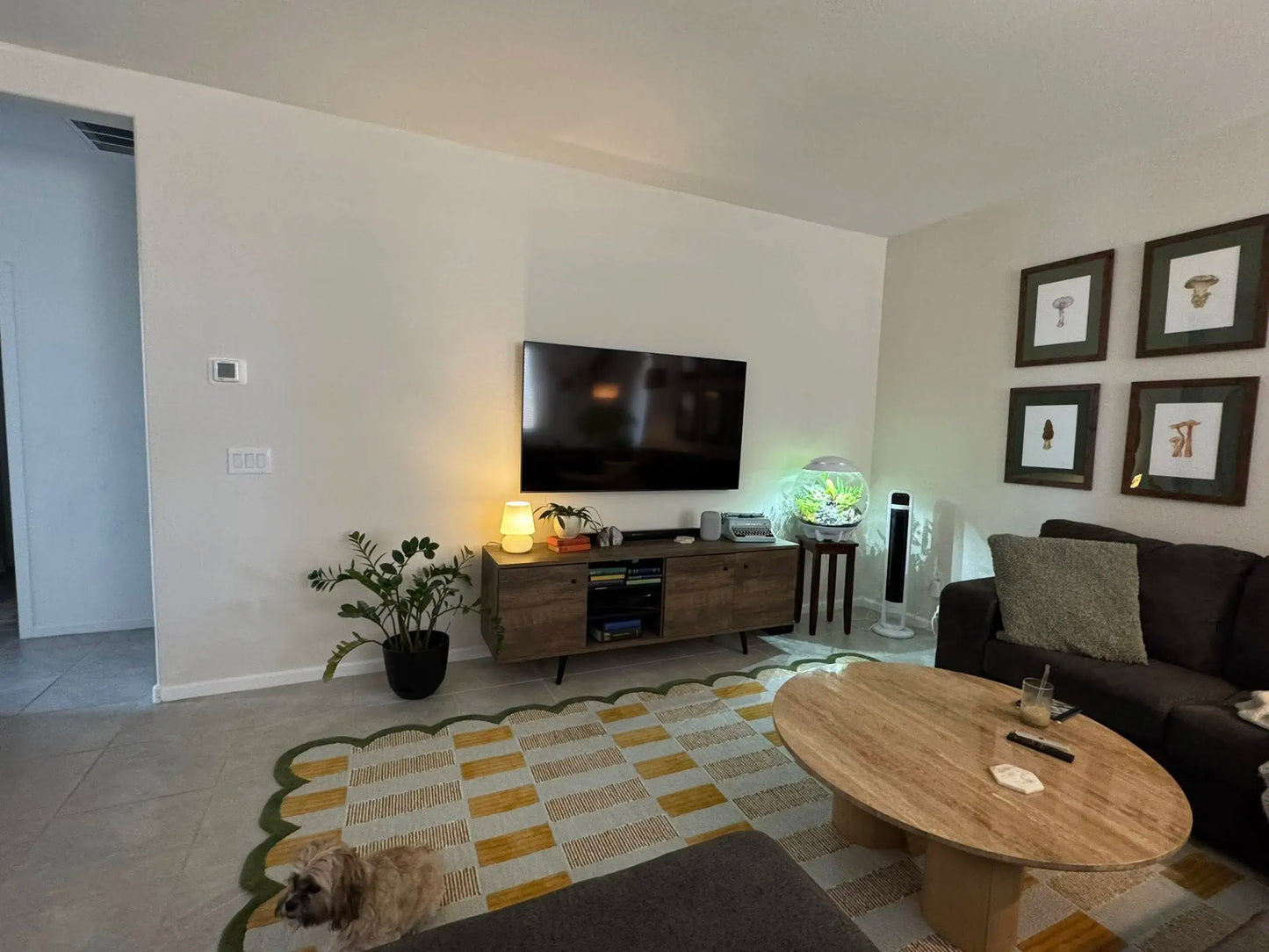 border rug