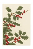 Holly berry Christmas rug with green leaves and red berries on cream background