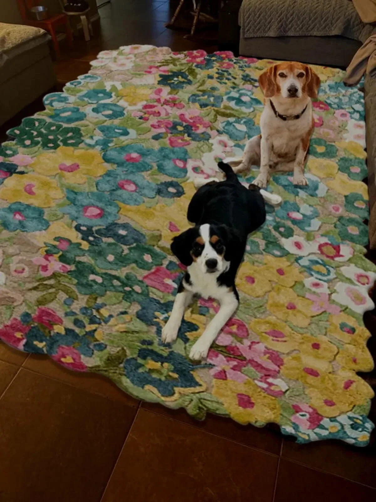 Two dogs on a colorful maximalist floral rug in a room.