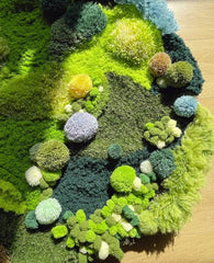 Modern hand-tufted wool rug with moss-like texture and abstract terrain pattern