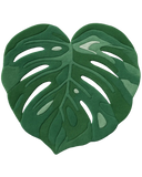 Gradient green monstera leaf rug – hand-tufted premium wool.