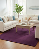 Purple solid minimalist modern plum design area rug with a hand-tufted finish, styled in a living room to add a sleek, contemporary, and elegant accent