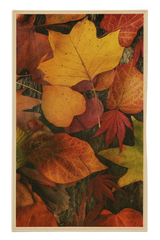 Realistic autumn leaf rug with golden and crimson leaves, machine washable.